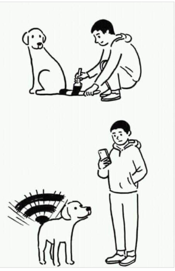 561x867, 39 Kb / вайфай, собака, хвост