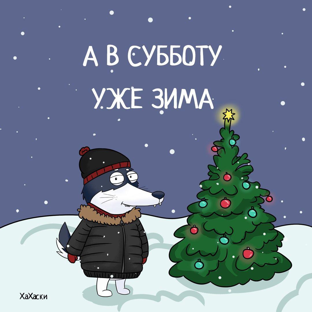 1080x1080, 88 Kb / хахаски, суббота, зима, ёлка, снег, собака, шапка, куртка, снежинки, игрушки, звезда, рисунок, хвост