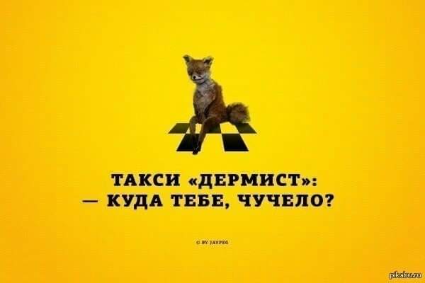 600x400, 10 Kb / Лиса, такси, чучело