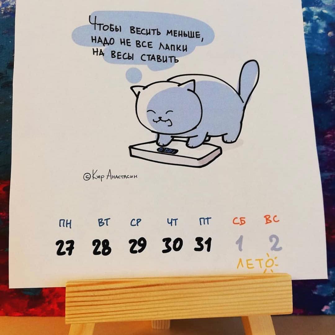 1080x1080, 73 Kb / Кот, весы, лапки