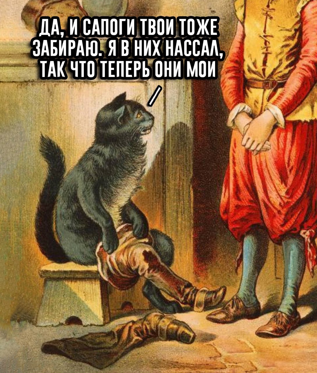 1089x1280, 318 Kb / кот, сапоги