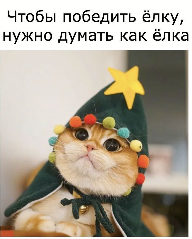 656x817, 61 Kb / Кот, ёлка, звезда