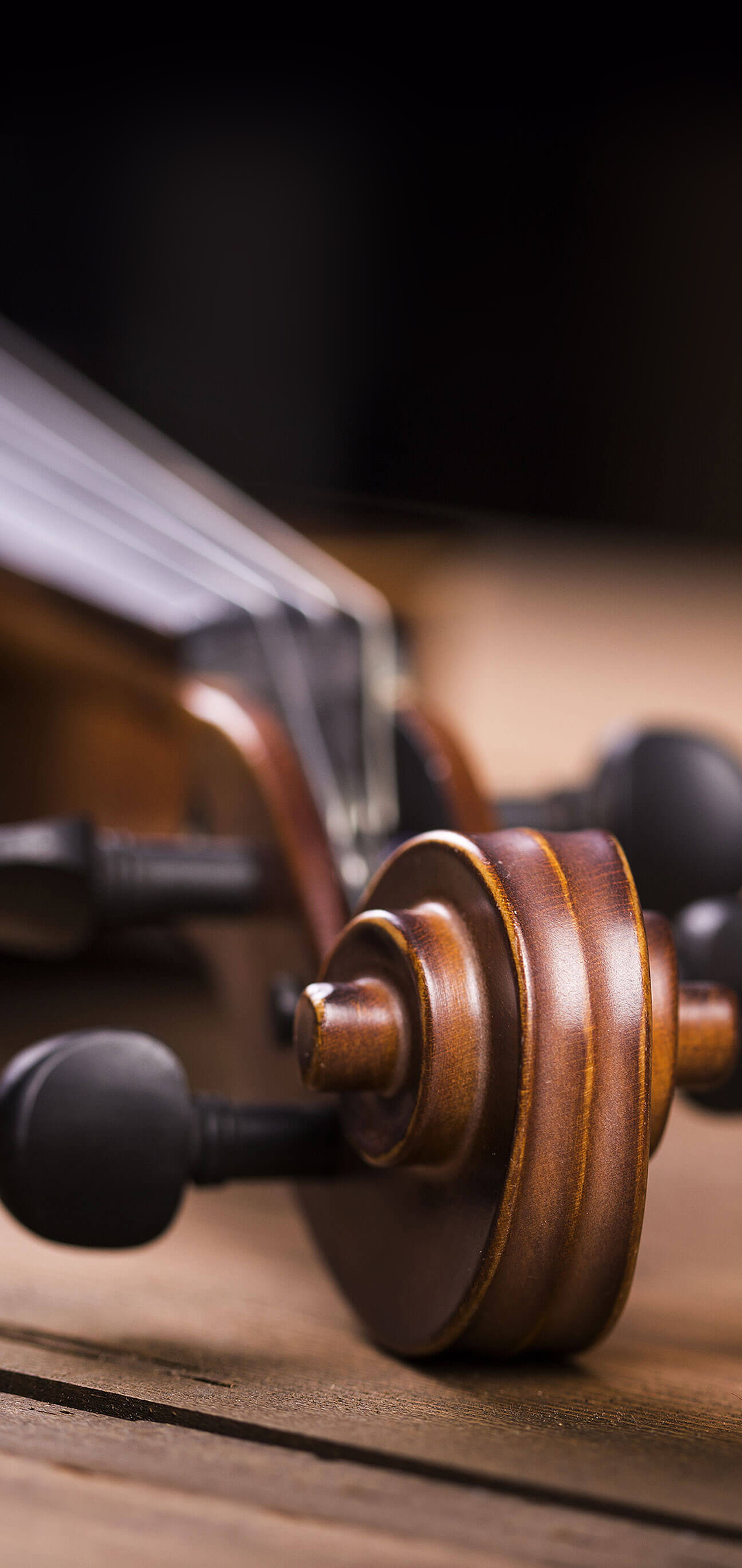 1080x2280, 403 Kb / струны, дерево, колки, скрипка