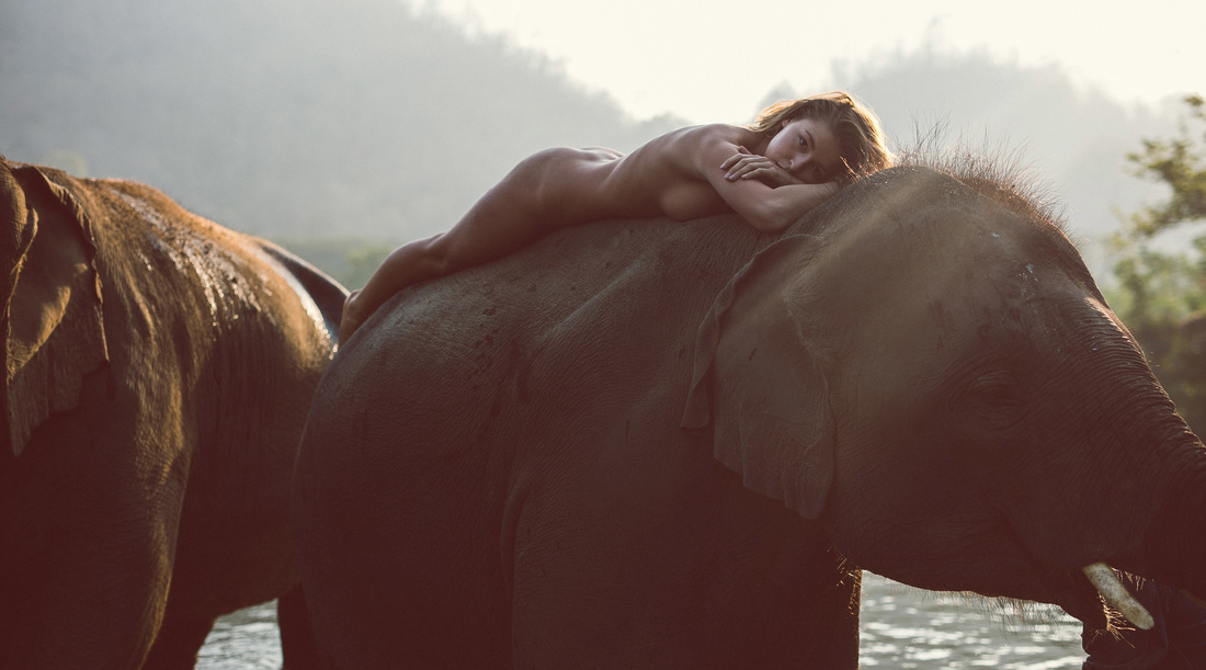 1100x611, 162 Kb / слон, девушка, голая, ямочки