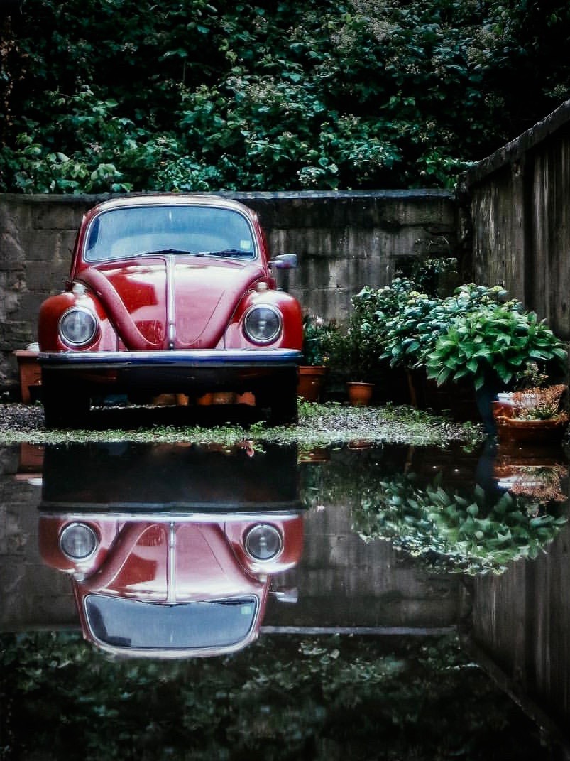 803x1071, 189 Kb / автомобиль, жук, стена, отражение, вода, зелень, заросли