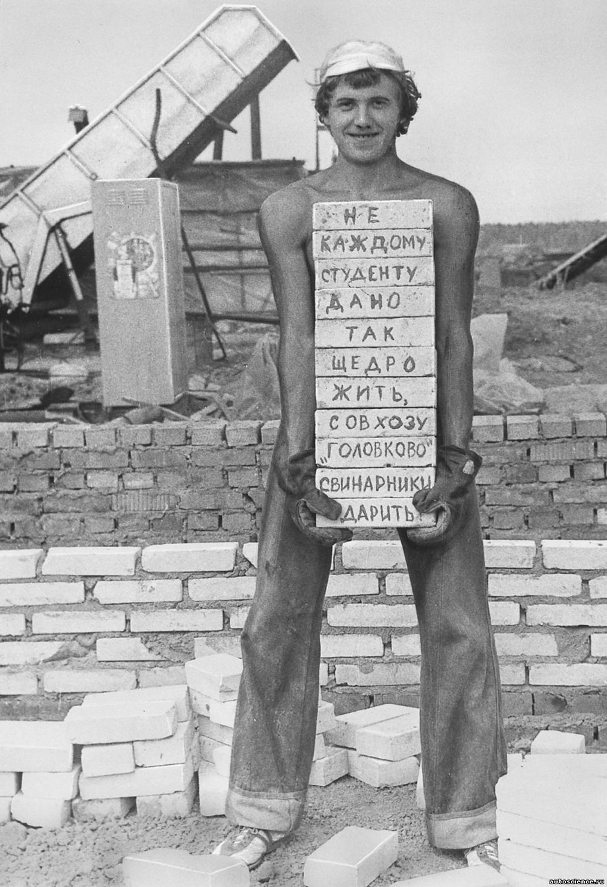 876x1280, 345 Kb / Стройотряд, ретро, совхоз, свинарник, кирпичи, ч/б, студент