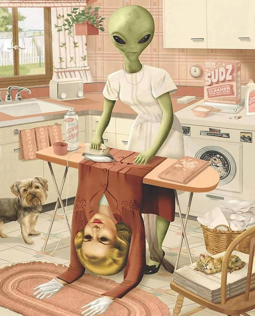 1080x1339, 119 Kb / кухня, утюг, костюм, домохозяйка, инопланетянка, котенок, собака