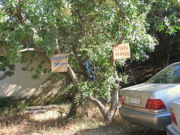 709x532, 133 Kb / стоянка, объявы