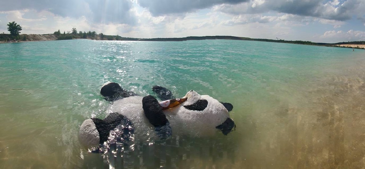 1280x595, 161 Kb / море, панда, бутылка, игрушка, мягкая