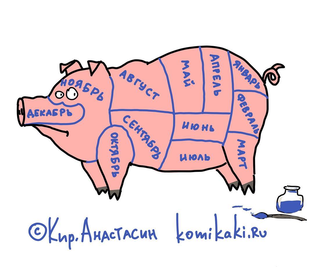 1080x920, 74 Kb / Свинья, разделка, месяцы