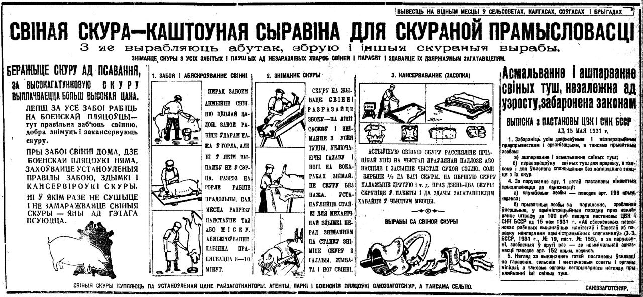 1280x592, 315 Kb / Шкура, свинья, забой