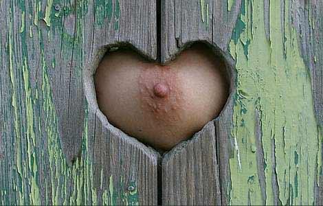 470x300, 34 Kb / забор, сердце, сердечко