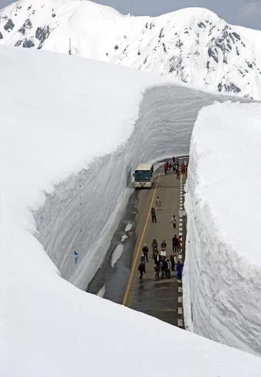 530x767, 55 Kb / дорога, автобус, люди, горы, снег, япония