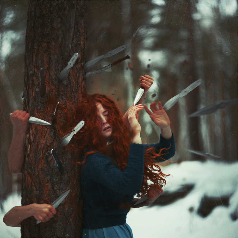 800x800, 116 Kb / рыжая, ножи, сосна