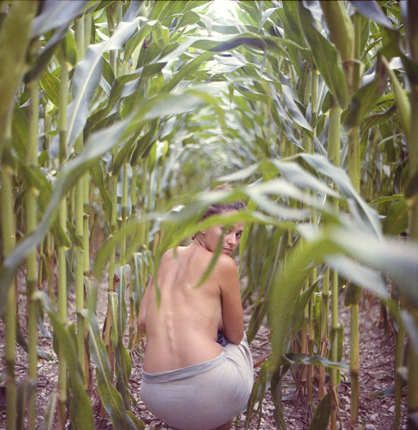 829x854, 269 Kb / кукуруза, топлесс, сзади, взгляд