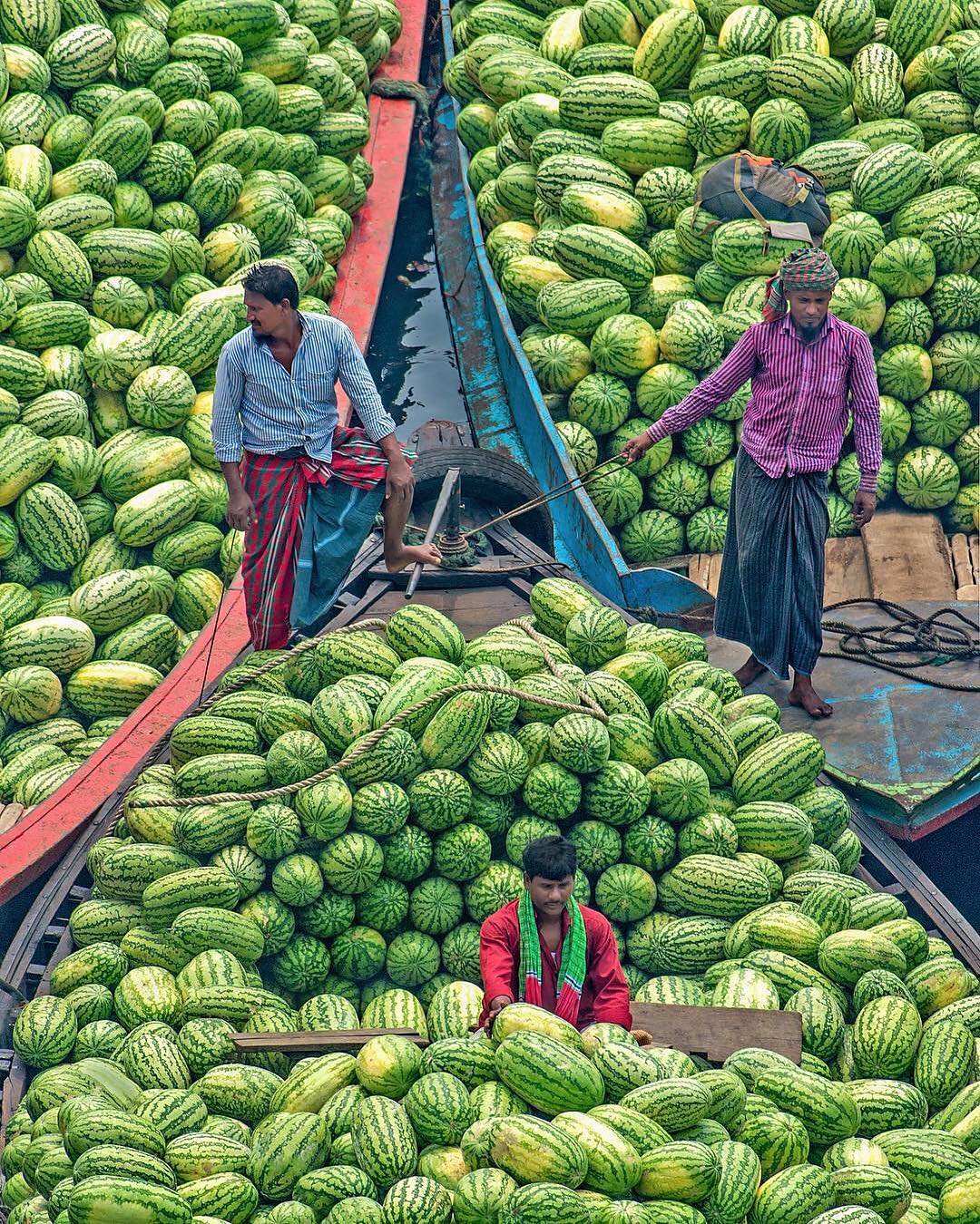 1080x1350, 465 Kb / арбузы, индусы, лодка