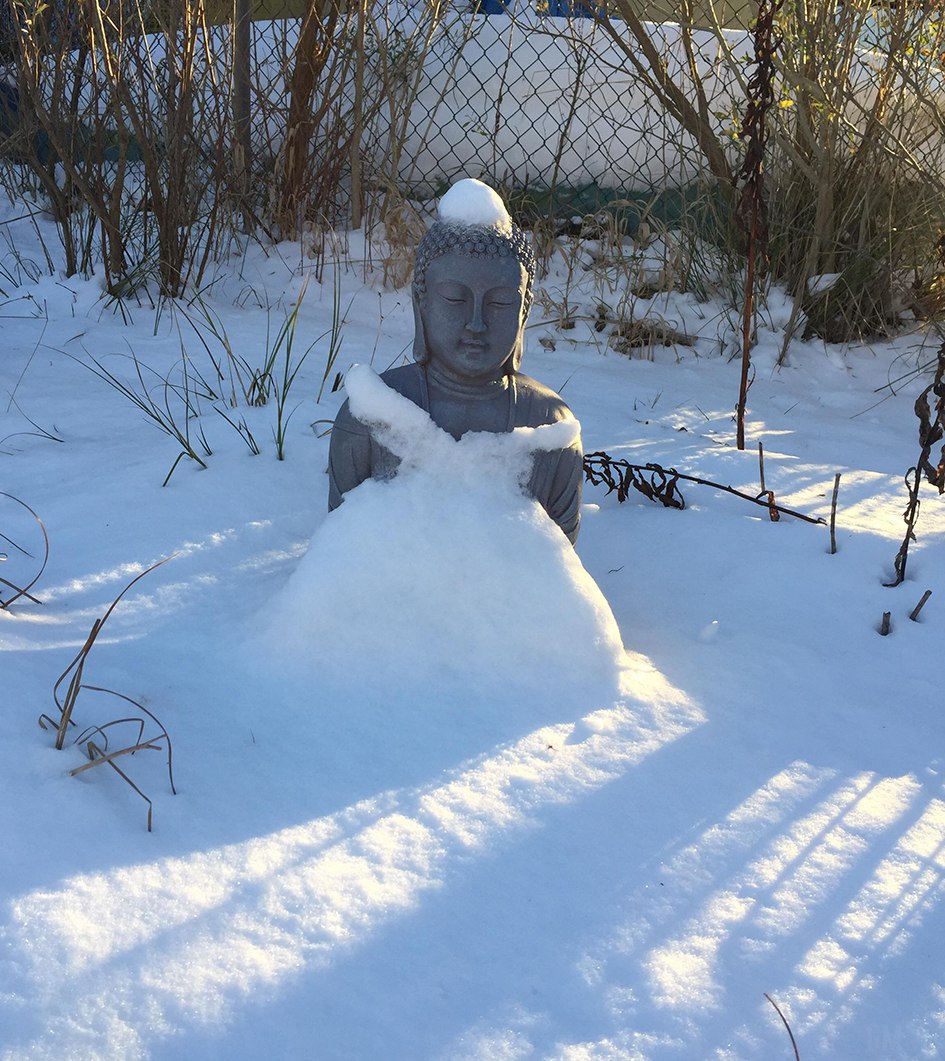 945x1061, 252 Kb / будда, статуя, снег, платье