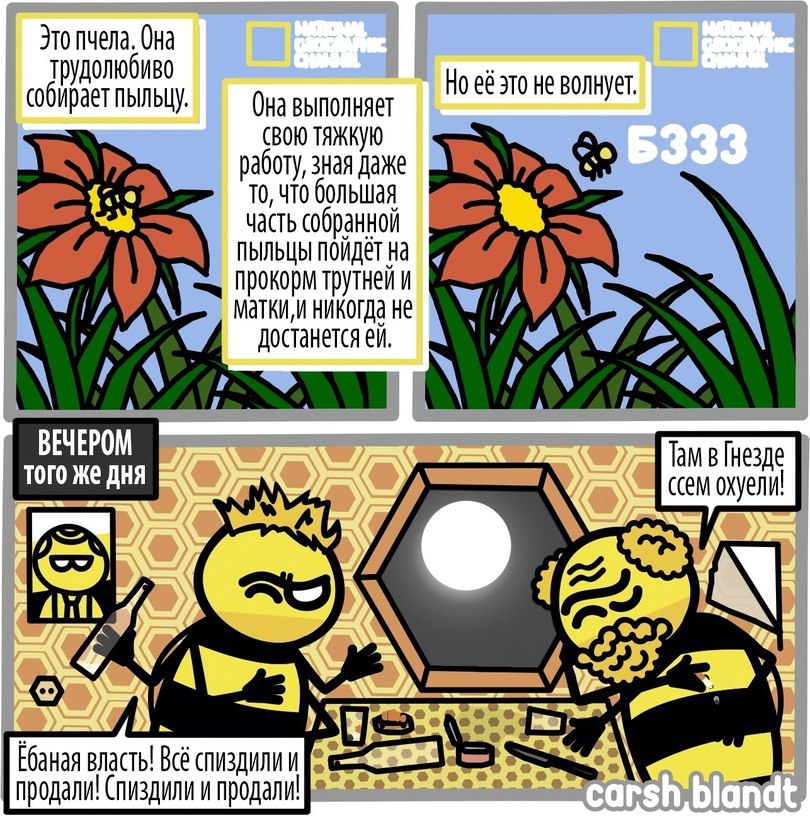 810x819, 212 Kb / Пчела, пасека, протест