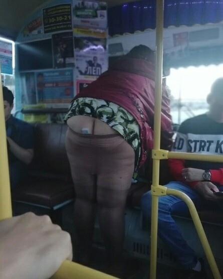 445x556, 56 Kb / лепс приезжает, сиськи