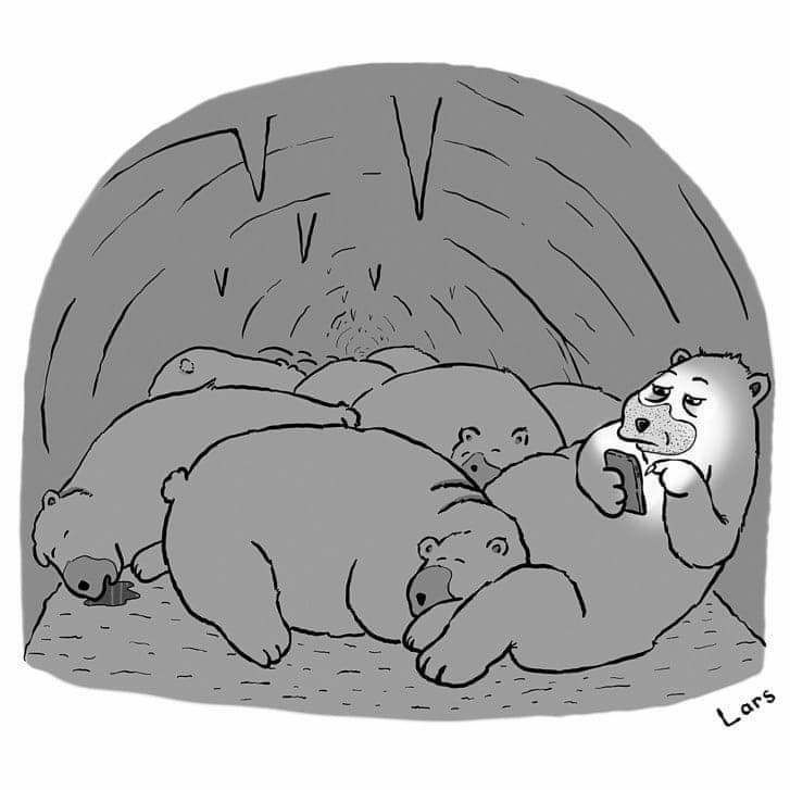 727x727, 41 Kb / Берлога, медведи, телефон, спячка