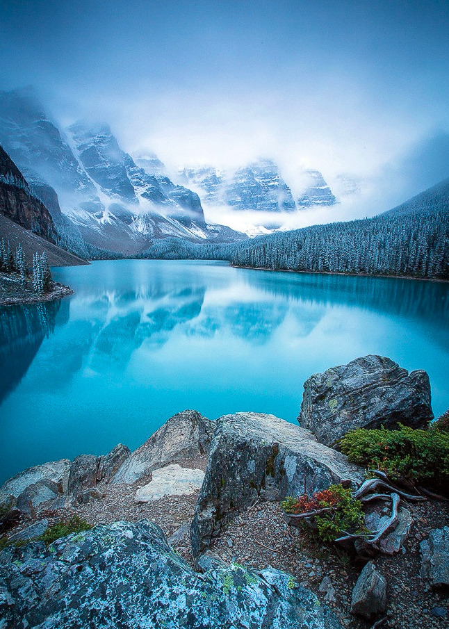 646x905, 326 Kb / пейзаж, река, камни, горы, национальный парк, лес, Новая Зеландия