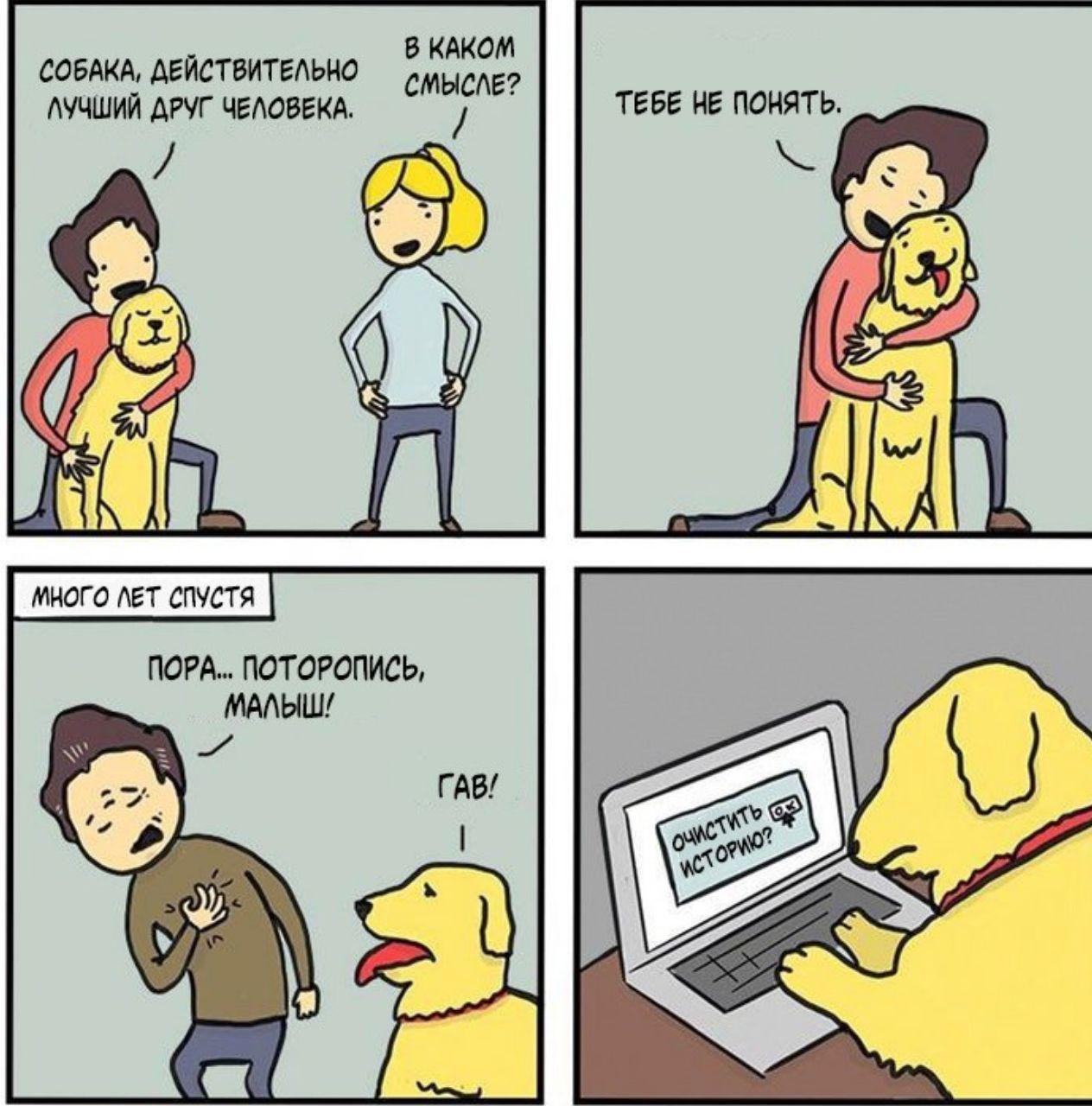 1264x1280, 175 Kb / собака, друг, история