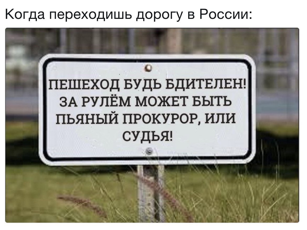 1170x878, 138 Kb / пешеход, прокурор, судья