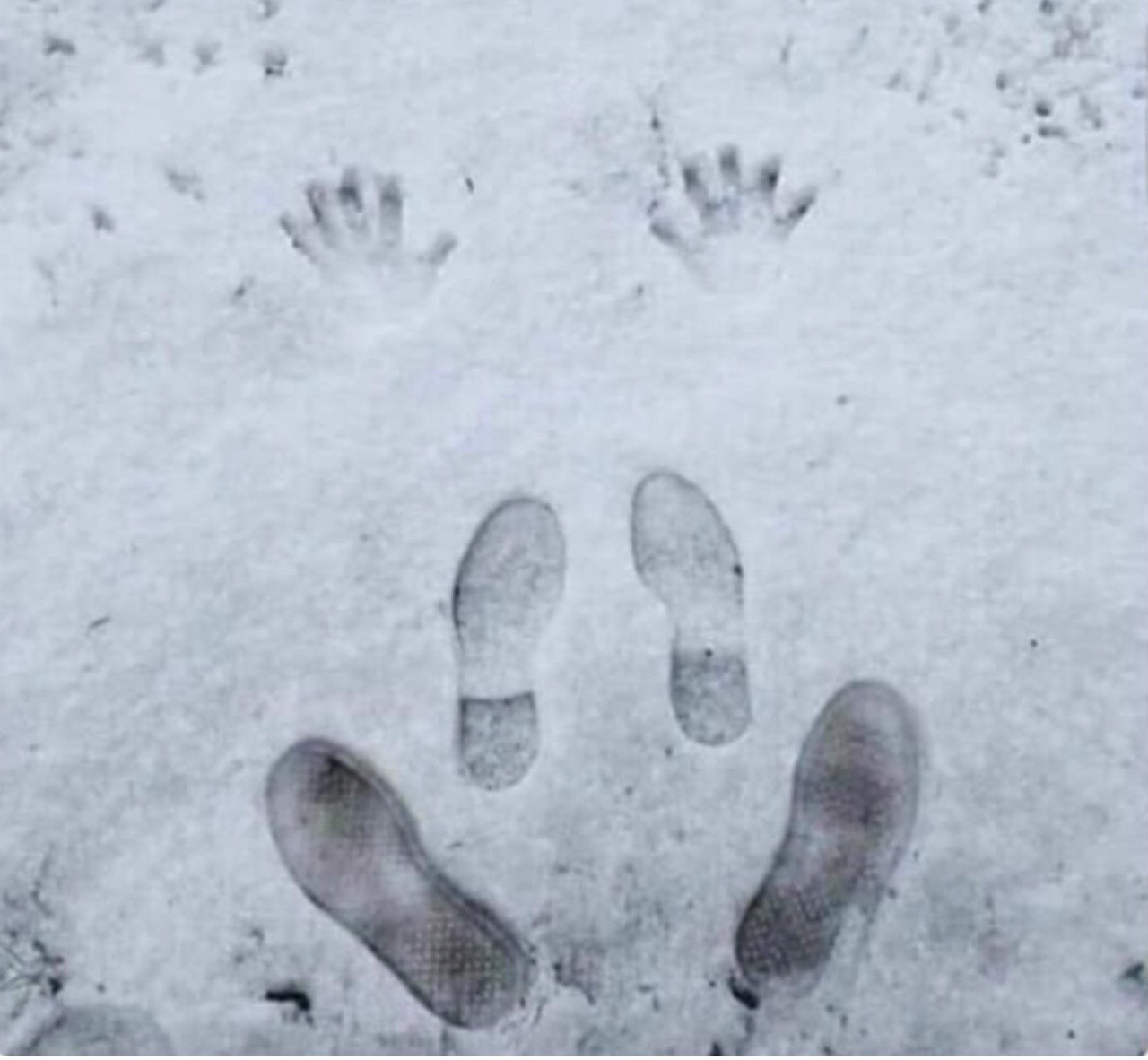 1280x1182, 122 Kb / Снег, следы