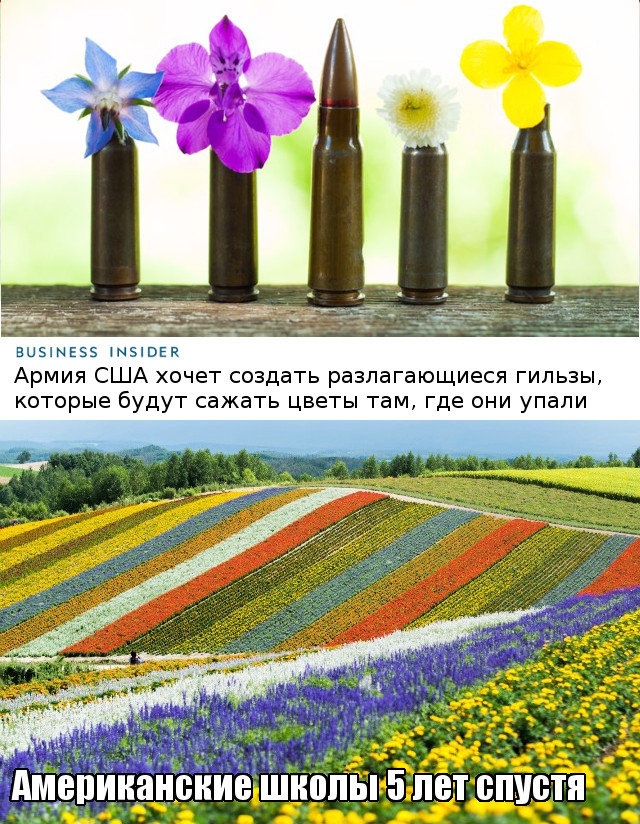 640x824, 232 Kb / цветы, пули, школы, черный юмор