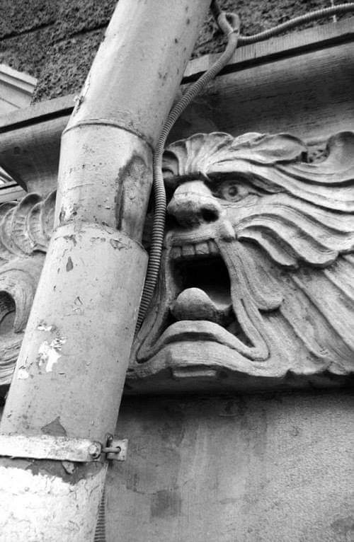 500x766, 54 Kb / Труба, лицо