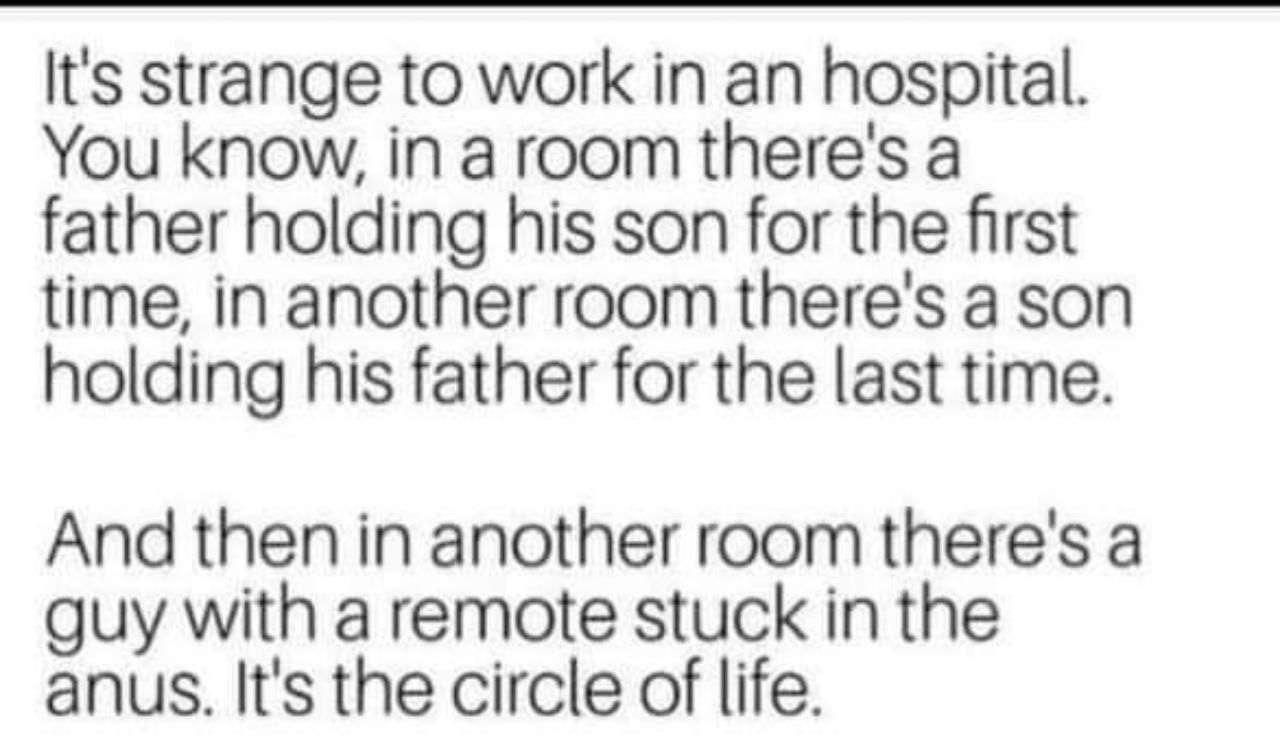 1280x753, 91 Kb / круговорот жизни