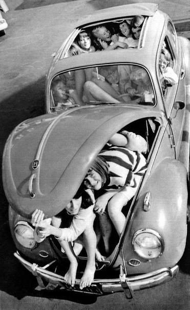 371x604, 38 Kb / Жук, вместимость, люди