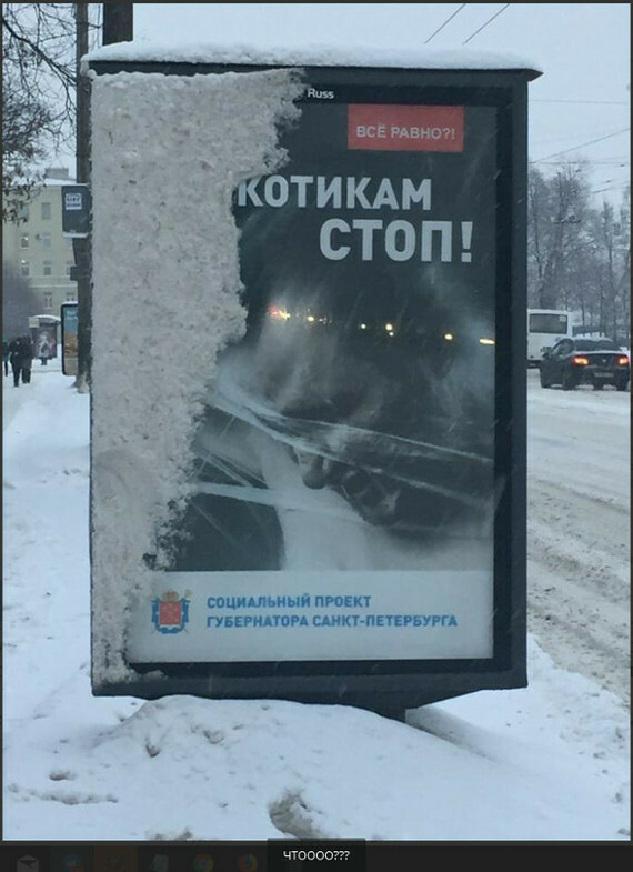 570x785, 107 Kb / санкт-петербург, котики, стоп, зима