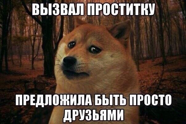 604x402, 53 Kb / дружба, собака, проститутка, шутка, жизненно,