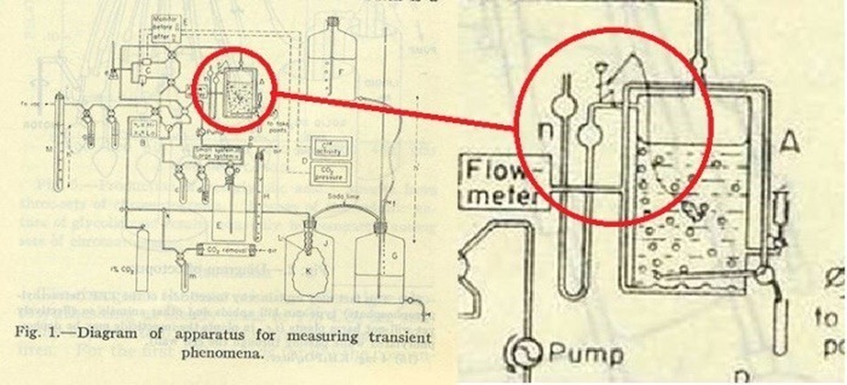 1200x546, 141 Kb / рыбак, насос, пасхалка