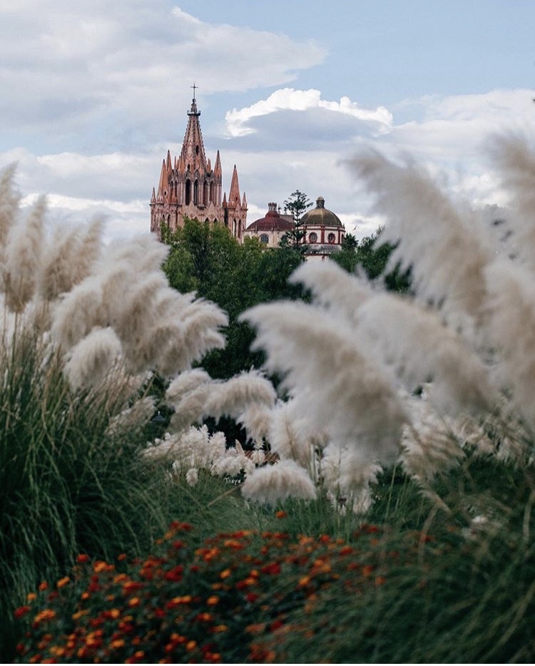 750x934, 200 Kb / собор, небо, облака, зелень, трава, цветы