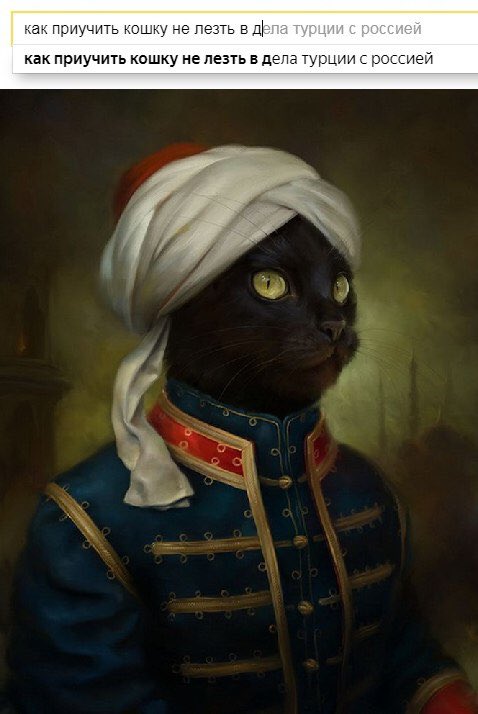 478x714, 46 Kb / турция, россия, тюрбан, поиск, кошка