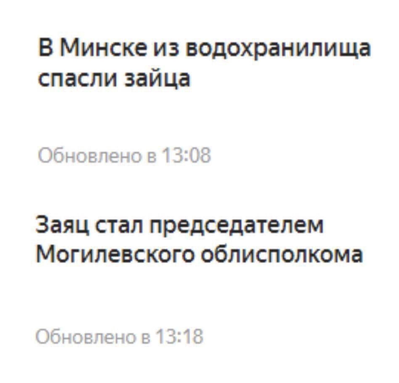 1664x1596, 78 Kb / заяц, водохранилище, председатель