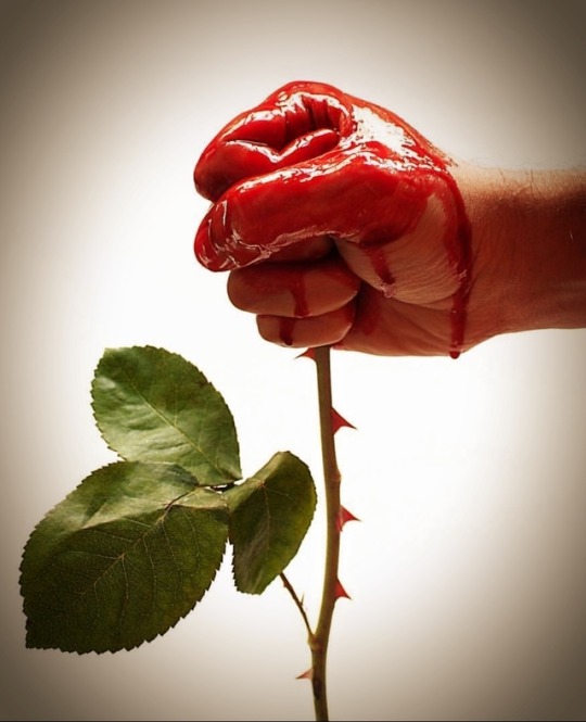 540x665, 60 Kb / роза, цветок, кулак, красный, кровь