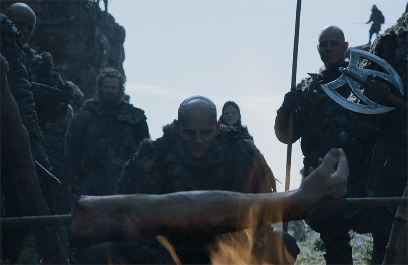 800x520, 206 Kb / охота, лук, одичалые