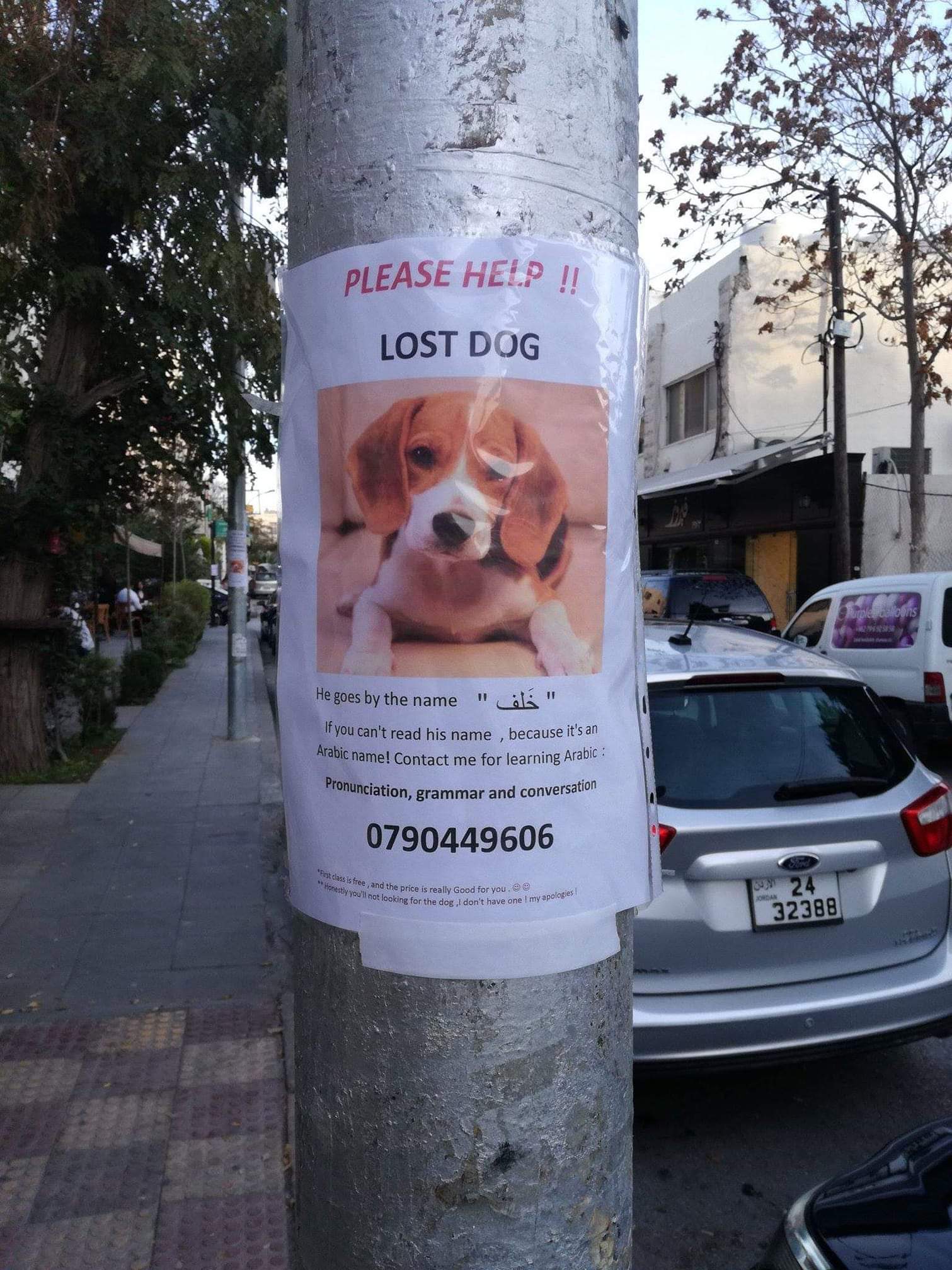 1511x2015, 336 Kb / собака, объявление, столб, арабский, реклама