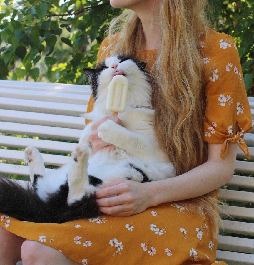 864x900, 197 Kb / мороженое, эскимо, скамейка, блондинка, кот, кошка, платье