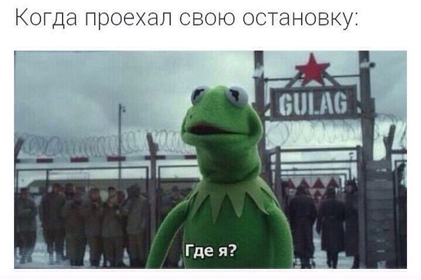 604x401, 44 Kb / кермит, гулаг, остановка