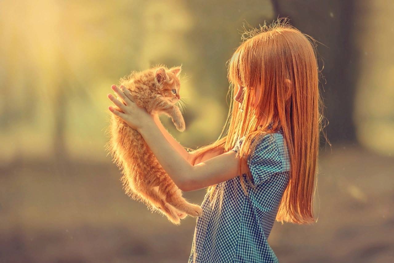 1280x854, 110 Kb / ребенок, девочка, рыжая, котенок