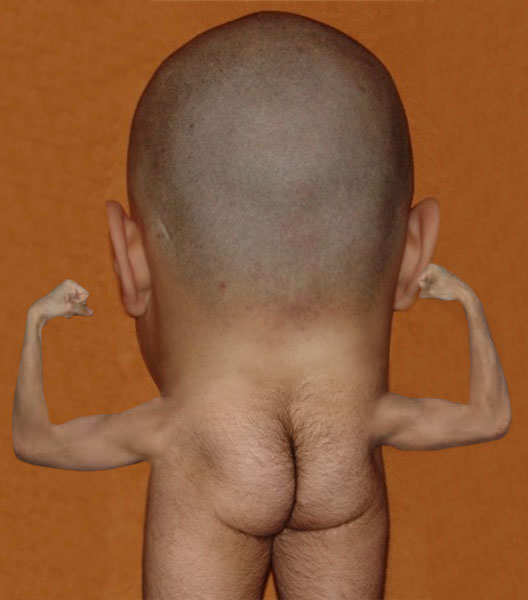 528x600, 35 Kb / жопа