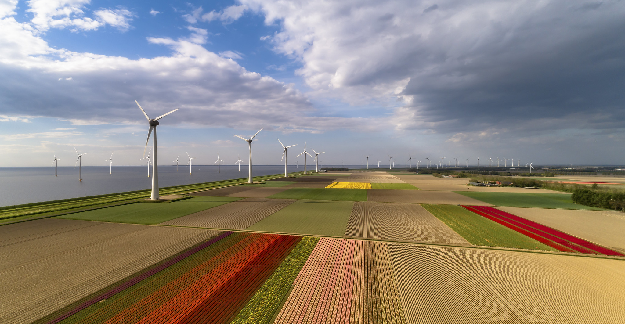 2048x1062, 627 Kb / ветрогенераторы, тюльпаны, Голландия, пейзаж