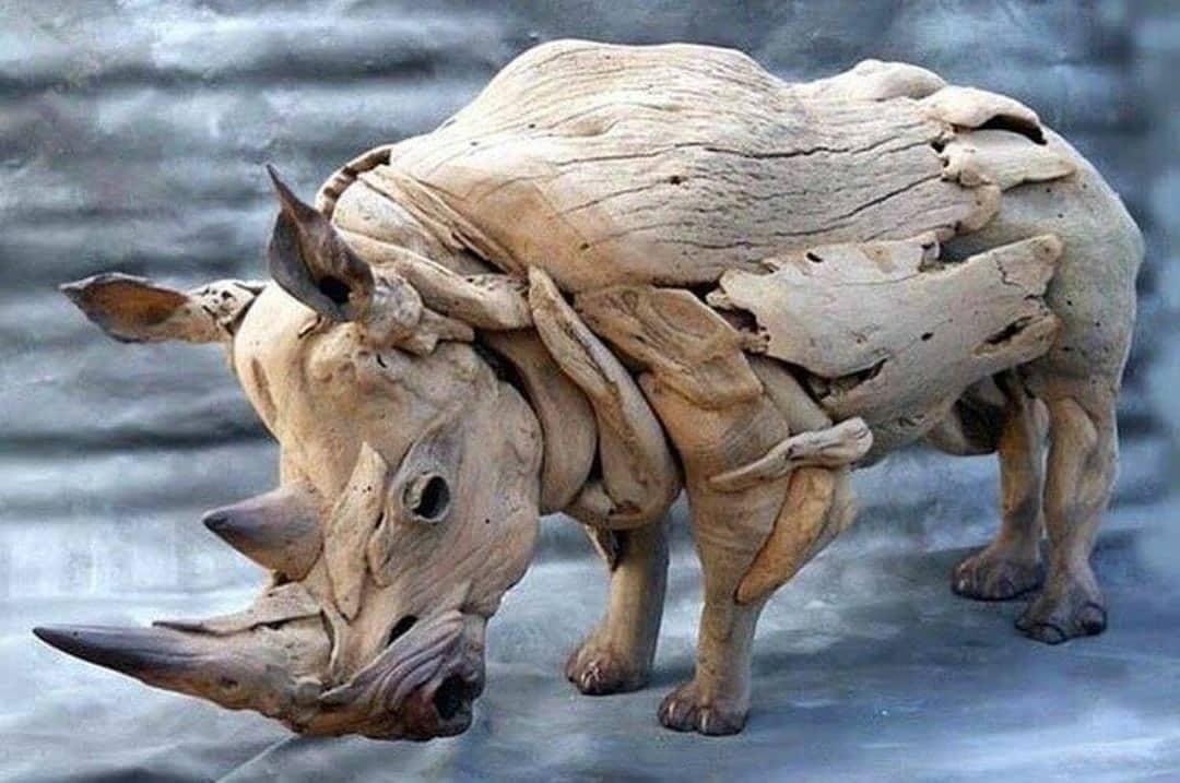 1080x717, 76 Kb / носорог, деревяшки