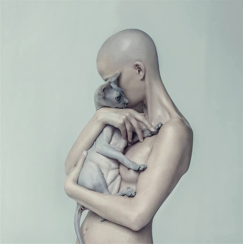 797x800, 28 Kb / девка, лысая, кошка, сфинкс