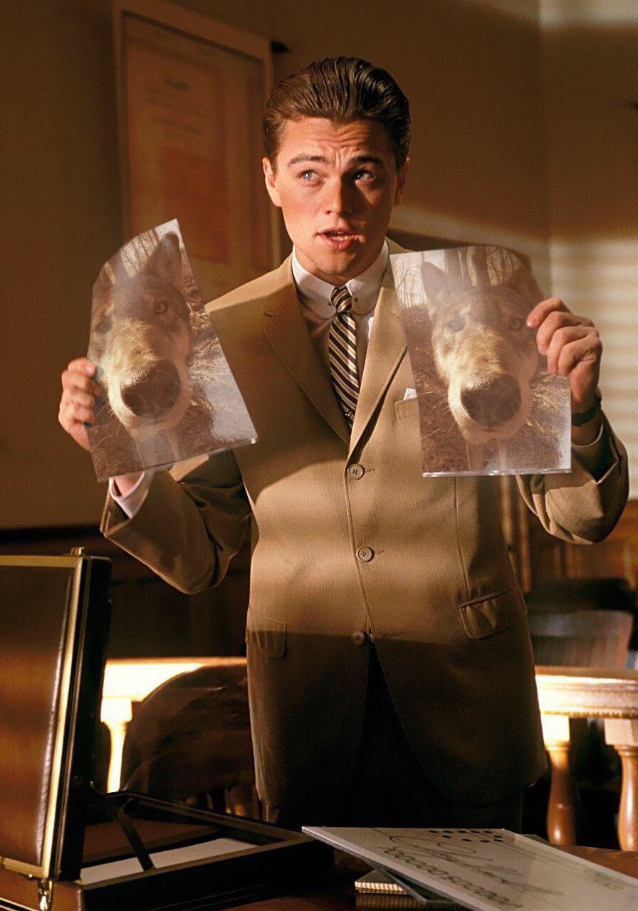 896x1280, 198 Kb / Бред Питт, собака, Леонардо, Дикаприо