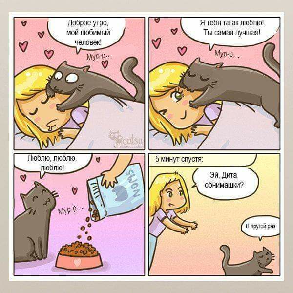 600x600, 65 Kb / Комикс, девочка, кошка, обнимашки, дита
